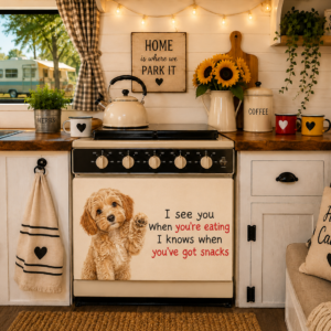 Cavoodle