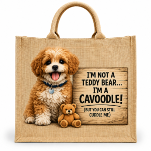 Cavoodle